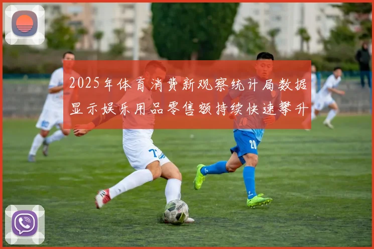 2025年体育消费新观察统计局数据显示娱乐用品零售额持续快速攀升