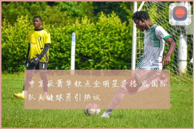 申京获萧华钦点全明星资格 成国际队关键球员引热议